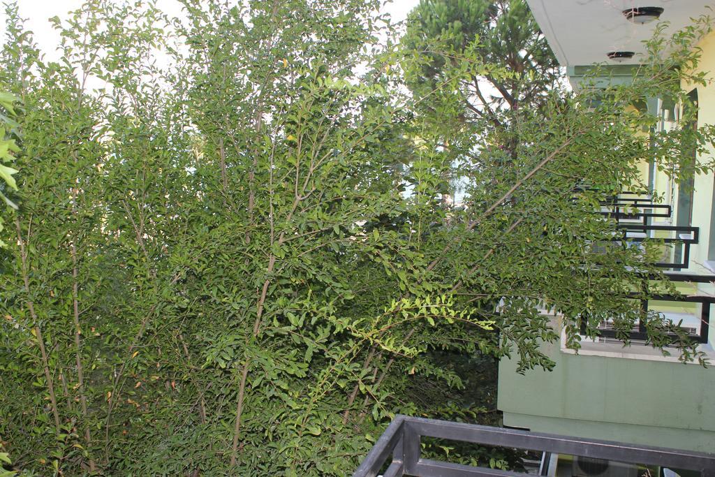 Flora Hotel Koycegiz  Δωμάτιο φωτογραφία
